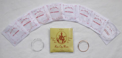 Rain City Music sitar and Indian instrument strings