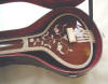 Srishti fancy tanpura in case