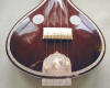 srishti tanpura full tabli