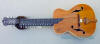 Full view of Concord pine body mohan veena