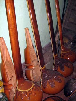srishti sitars sarod