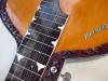 rosewood neck indian slide guitar